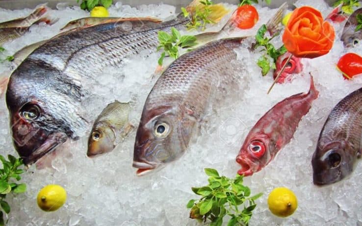 Vận chuyển tôm cá và hải sản đông lạnh các loại đi Trung Quốc siêu nhanh, giá cả hấp dẫn