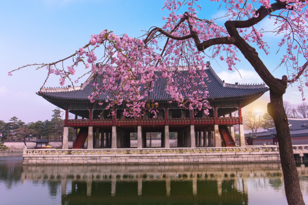 Booking tải Hàng không rẻ nhất Air Asia