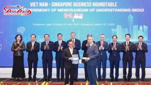Việt Nam và Singapore Hợp Tác Phát Triển Sân Bay Long Thành