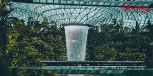 AirAsia Cargo – Your Trusted Air Freight Booking from Tan Son Nhat (SGN) to Changi Airport (SIN)