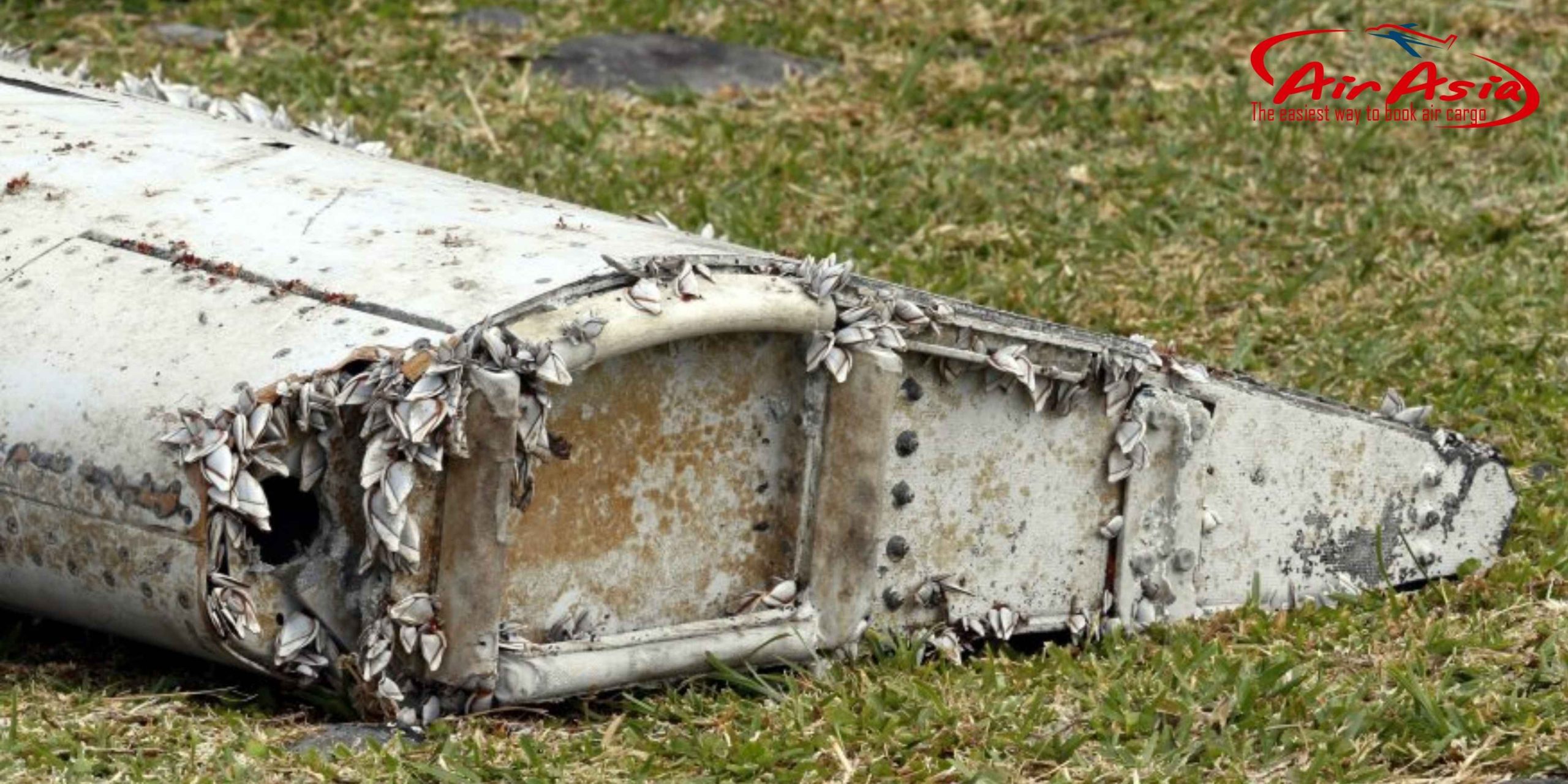 Tai Nạn Máy Bay MH370 – Bí Ẩn Hàng Không Lớn Nhất Thế Giới Chưa Có Lời Giải