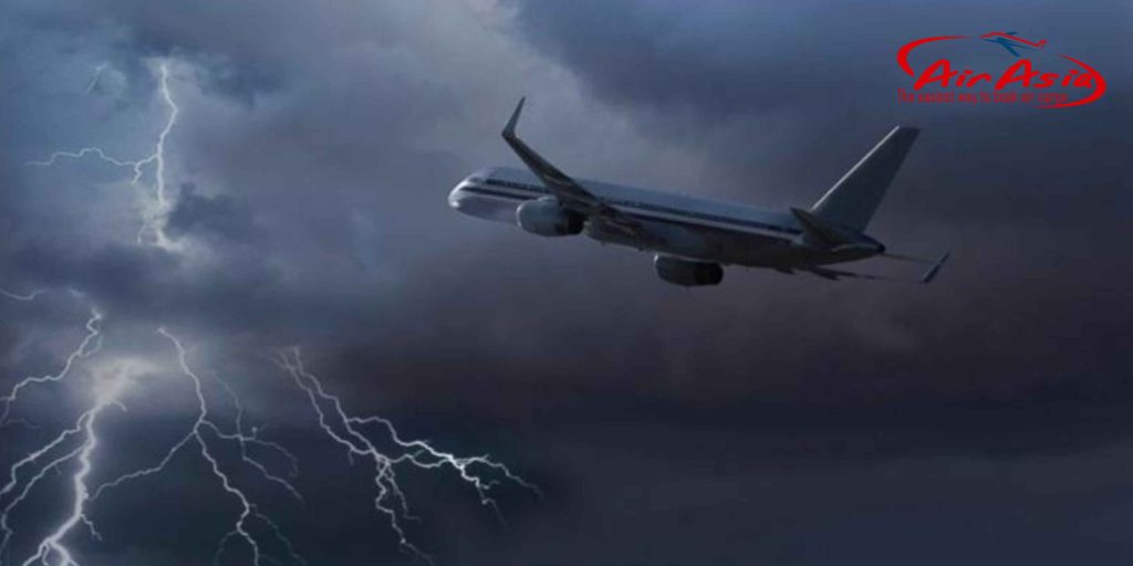 ✈️ Ảnh Hưởng Của Hàng Không Đến Hệ Sinh Thái Và Động Vật Hoang Dã