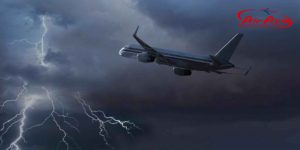 ✈️ Ảnh Hưởng Của Hàng Không Đến Hệ Sinh Thái Và Động Vật Hoang Dã