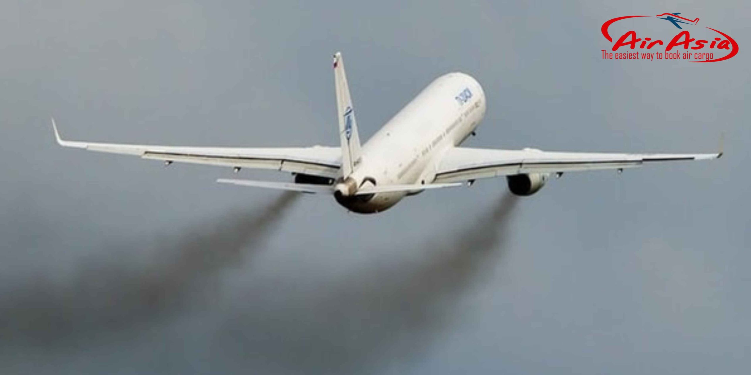 ✈️ Ảnh Hưởng Của Hàng Không Đến Hệ Sinh Thái Và Động Vật Hoang Dã