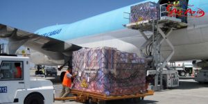 Air Cargo Booking Service from Hanoi to Singapore: Fast, Reliable, and Cost-Effective